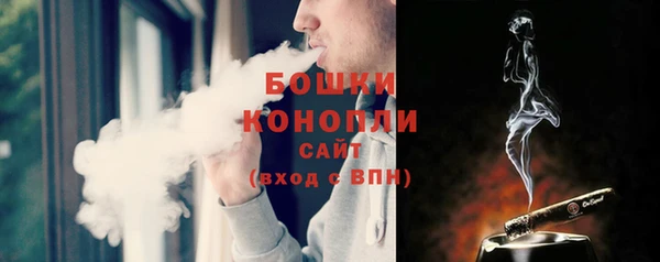 первитин Лиски