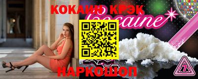 шишки Дубна