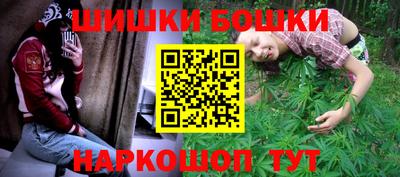 шишки Дубна