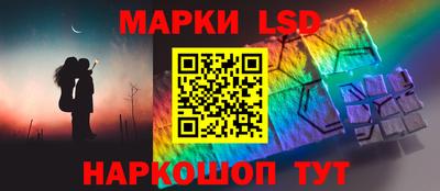 шишки Дубна