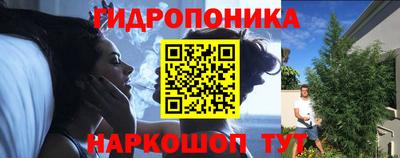 шишки Дубна