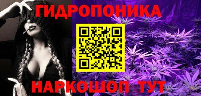 прущие грибы Донецк