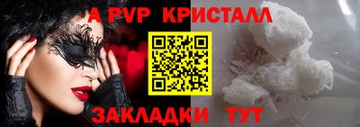 шишки Дубна