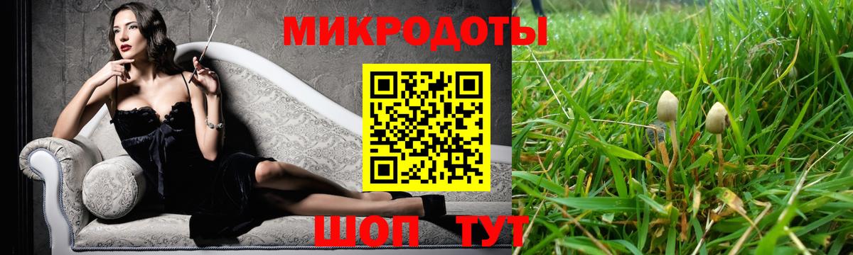 Тюмень  Галлюциногенные грибы мицелий  Вход с VPN  Псилоцибиновые грибы Psilocybe 