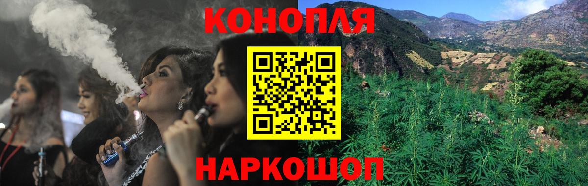 Шишки марихуана планчик  Бошки Шишки сатива  Бошки марихуана White Widow  Вход с VPN  Тюмень 